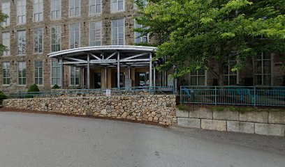 Lifestream Inc