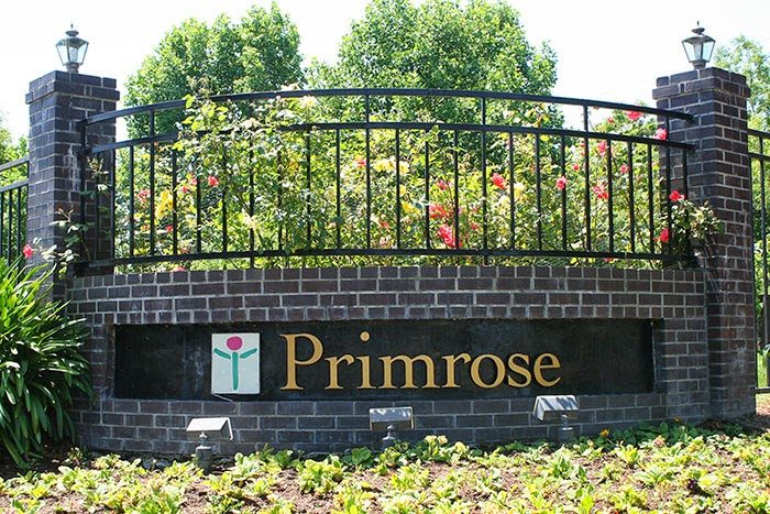 Primrose Day Club